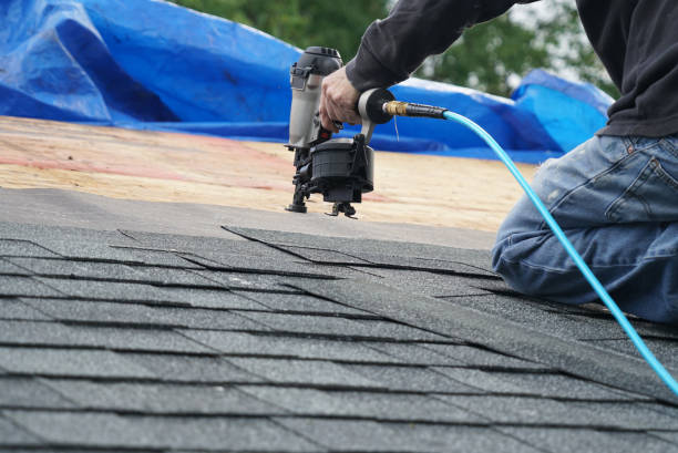 Best Roof Gutter Cleaning  in Coal Fork, WV