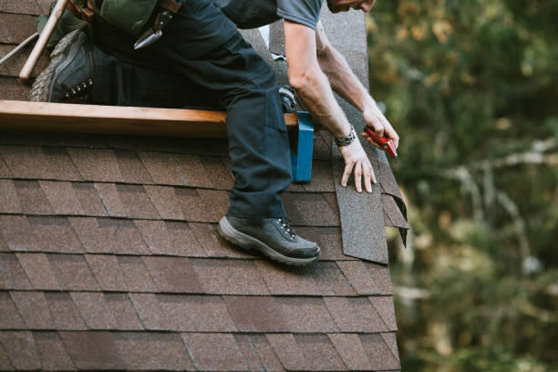 Best Gutter Installation and Roofing  in Coal Fork, WV